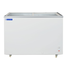 Blue Star 310 L Glass Top Freezer EGT310FOD