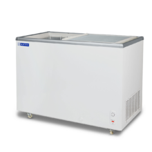 Blue Star 310 L Glass Top Freezer EGT310FOD-p2