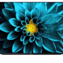 SHARP 50 UHD ANDROID TV 4T-C50DK1X P3